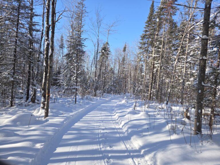 att.jcRZCDexGBkPOwBa3L4lJjfc4ixFDMITLXUysHYlifA