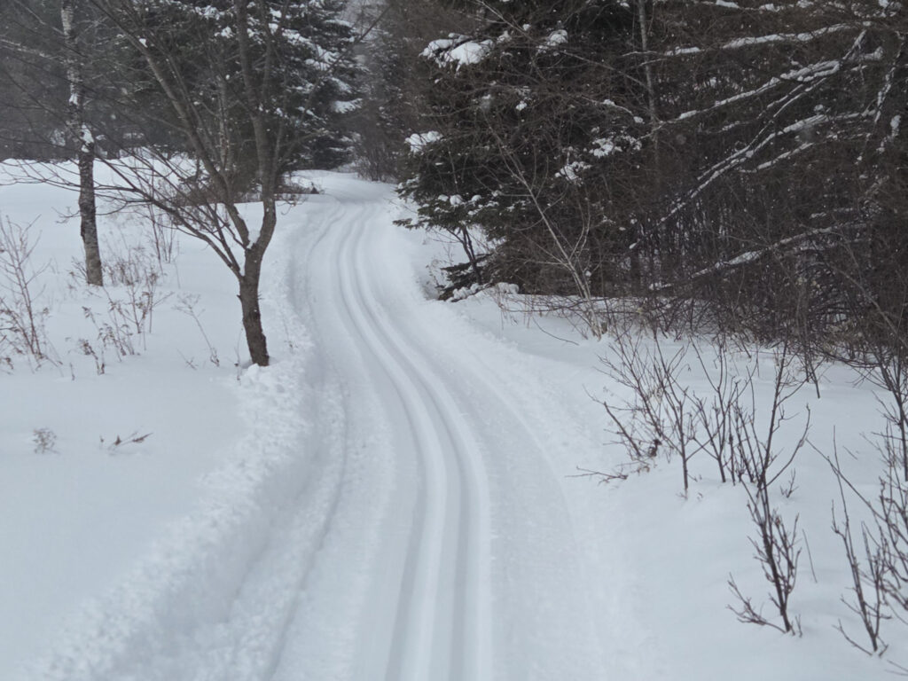 piste de ski de fond au Lac-des-Écorces